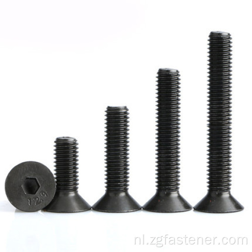 12.9 Grade Zwarte oxide zeshoekige socket verzonken kopschroeven